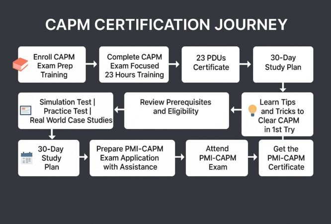 PMP Certification success path