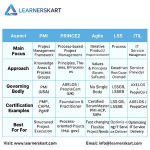 Learnerskart PMP Certification Training