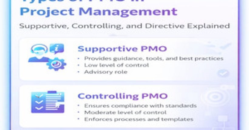 Types of PMO in Project Management - Learnerskart Website
