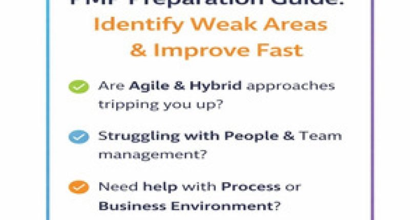 PMP Preparation Guide - Learnerskart Website